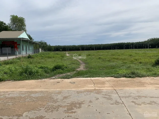 Bán đất 400m² ngang 10m giá 290 triệu Phường An Lộc