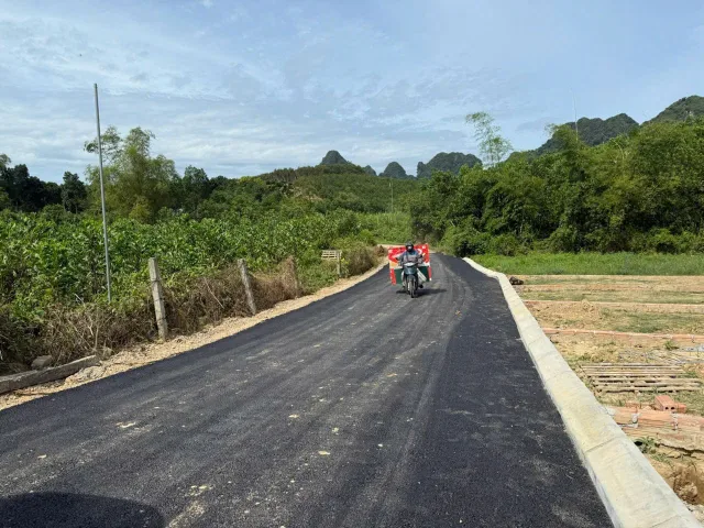 Đất Trung Xã An Bình, Giá Đầu Tư