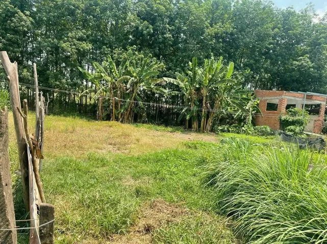Bán đất 1/Trung Lập xã Trung Lập Thượng Củ Chi TPHCM, DT: 20x30m.