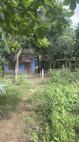 Bán đất mặt tiền tỉnh lộ 3 quy hoạch thương mại dịch vụ