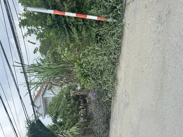 Bán đất 573.5m² ngang 11m giá 2.5 tỷ Xã Đức Hòa