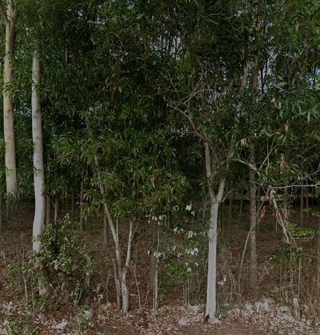 Bán đất 2000m² ngang 30m giá 2 tỷ Xã Phước An