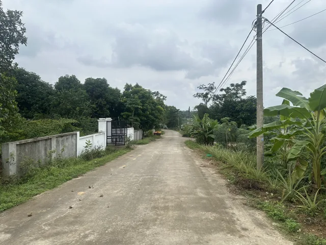 Bán đất 174,3m² ngang 5m giá 1.55 tỷ Xã Hy Cương