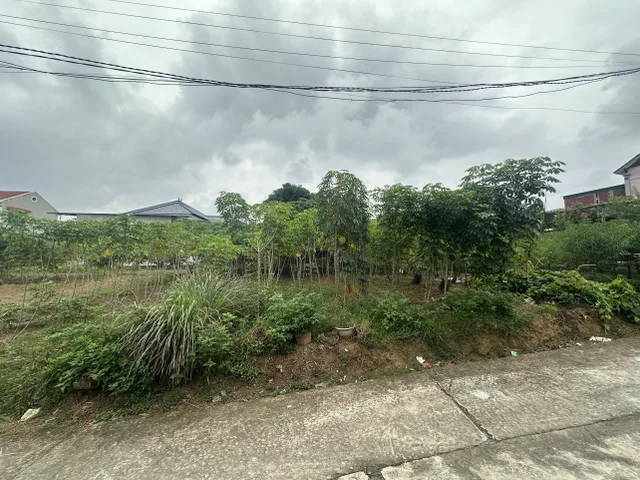 Bán đất 246,5m² ngang 11m giá 2.65 tỷ Xã Hy Cương