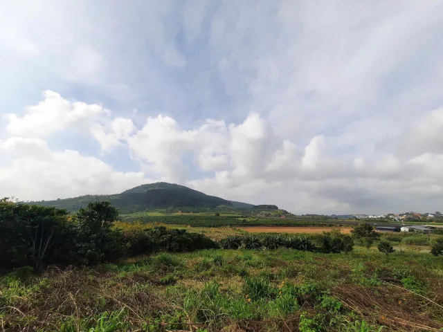 Lô đất View sông mặt tiền đường nhựa Bồng Lai xã Hiệp Thạnh