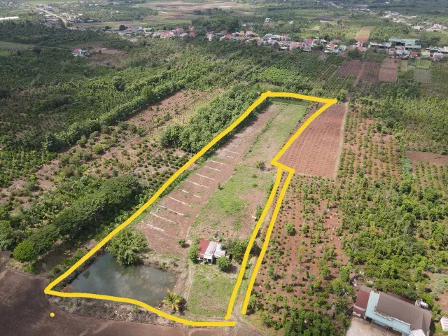 Bán đất 3018m² ngang 60m giá 4.5 tỷ Xã Cư M’gar