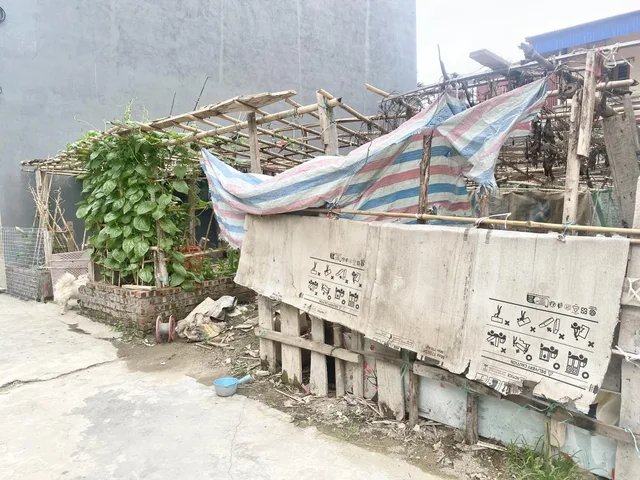 Bán lô đất 50m2 tại Lương Quán, Nam Sơn, An Dương – Giá 1,35 tỷ
