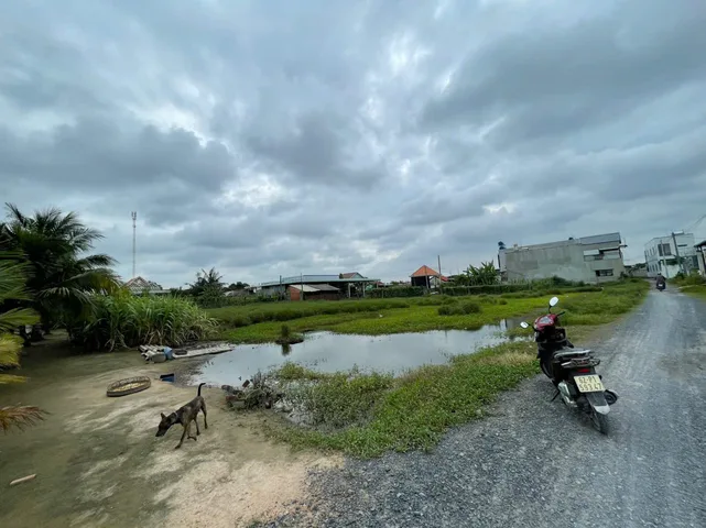 Bán đất 1550.2m² ngang 50m giá 20 tỷ Xã Mỹ Hạnh
