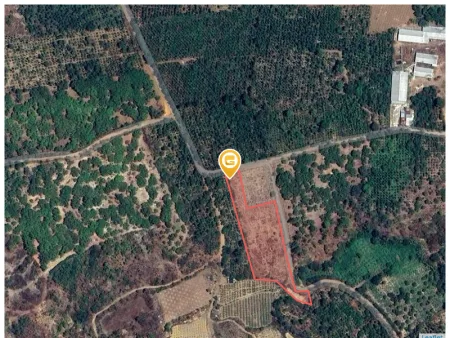 Bán đất 4025.6m² ngang 115m giá 2.3 tỷ Xã Ea Nuôl