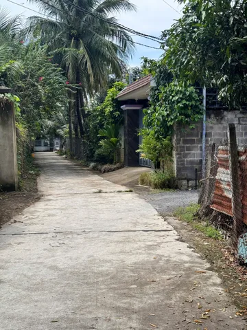 Bán đất 123.6m² ngang 5m giá 1.75 tỷ Xã Diên Khánh