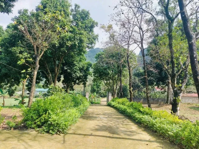 GIÁ CHỈ HƠN 1 TRIỆU/M2 THÔI Ạ📣