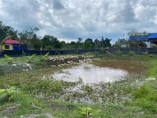Bán đất 7000m² giá 2.8 tỷ Xã Hòa Bắc