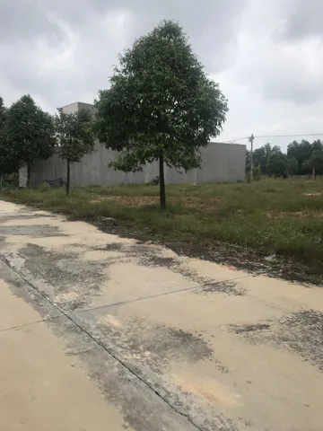 LÔ GÓC 505M2 MẶT TIỀN NHỰA 32M NGAY CHỢ SHR THỔ CƯ GIÁ CHỈ 200 TRIỆU