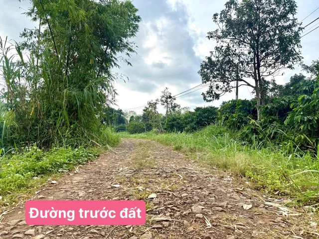 Bán đất 452.8m² giá 448triệu Xã Phú Xuân
