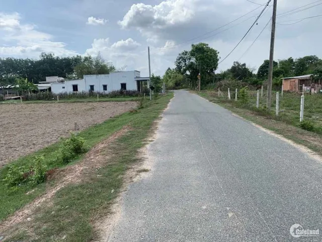 Bán đất 250m² ngang 5m giá 290 triệu Xã Tân Quan 0938889035_A ÚT