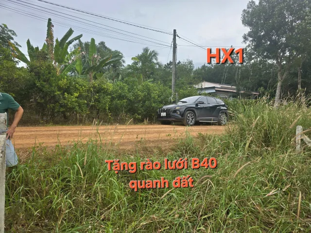 Bán đất 147m² giá 268 triệu Xã Long Chữ