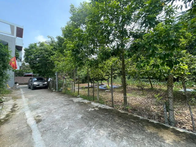 Bán đất 83m² ngang 4.5m giá 1.78 tỷ Phường Nông Trang