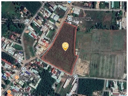 Bán đất 14021.9m² ngang 120m giá 210 tỷ Xã Long Thành