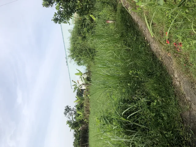 Bán đất Mỹ Lương cách HL90C 200m