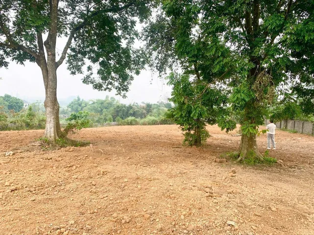 Cần bán nhanh lô đất đẹp tại nhuận trạch lương sơn hoà bình, giá rẻ nhất xã