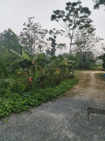 Bán đất 1684m² giá 5 tỷ Xã Trần Phú
