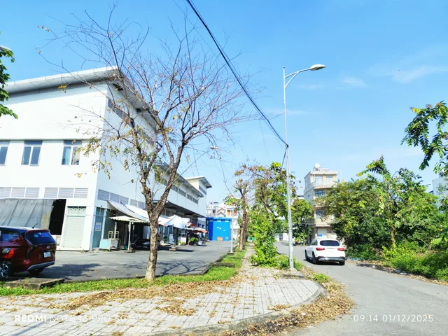 Bán gấp đất dự án khu 1 Thạnh Mỹ Lợi Q2 cũ dt 87.5m² ngang 5m giá 11.9 tỷ Phường Cát Lái mới