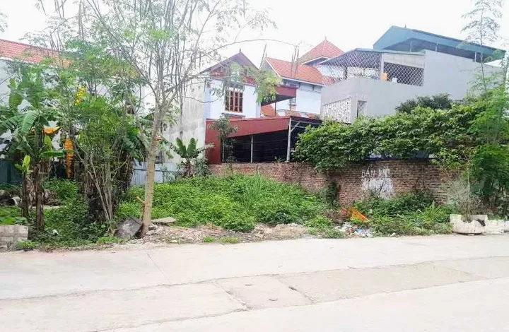 Chú ở Hà Nội bán mảnh đất 800 triệu ở thị trấn Ba Hàng Đồi trục trính kinh doanh