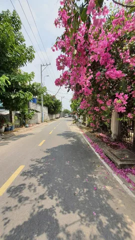 Bán Biệt Thự 352m ngang 14m nở hậu tài lộc, MT đường Xuân Thới Thượng, Hóc Môn.