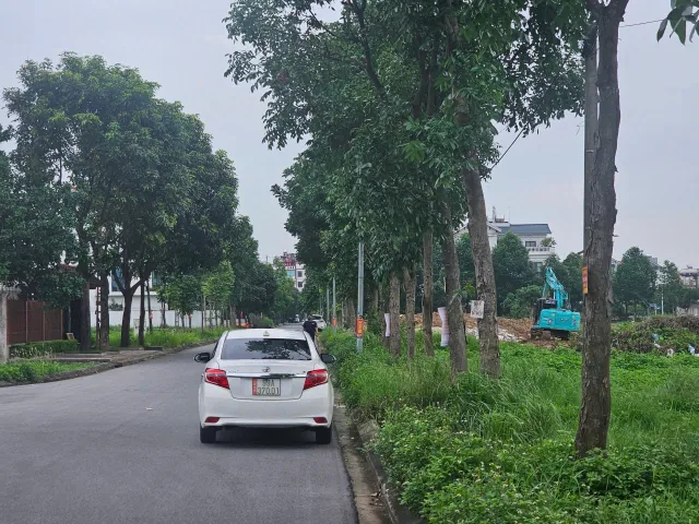 Bán đất biệt thự khu đô thị đại hoàng long dãy OBT2 nhìn hồ. Mặt phố lý thánh tông. Cạnh nút giao tây nam. Diện tích 352.5m mặt tiền 15m hướng đông nam. Phường võ cường tỉnh bắc ninh