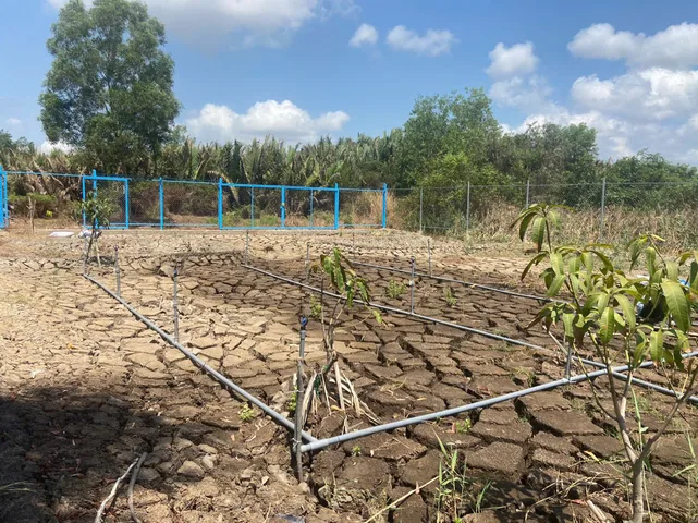 Bán đất 1000m² đường Nguyễn Văn Tạo, ngang 19m giá 3.6 tỷ, Xã Hiệp Phước