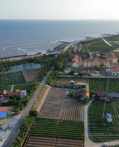 Đất biển Thịnh Long – Đầu tư nơi tương lai phát triển
