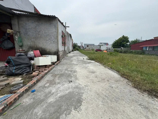 ⛔️⛔️ ĐẤT BÙI PHỔ, TÂN THÀNH NGÕ Ô TÔ 50m2 LOANH QUANH 1,2 tỷ