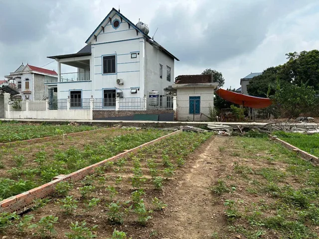 88m Đất Đẹp Phù Linh Sát Cạnh Sân Gofl  Phù Linh