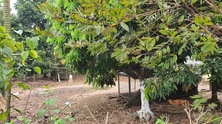 Bán 230 m Tại Xuân Đồng - Tân Minh  Đường Ô tô vào Tận Đất