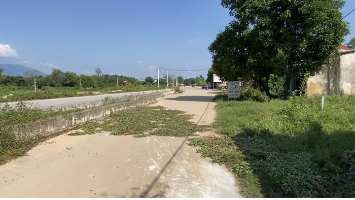 Chính chủ bán gấp lô đất đẹp mặt đường 310 Hướng Đạo, Tam Dương, Vĩnh Phúc. Sát khu công nghiệp
- Diện tích 117,2m² mặt tiền 6m rất đẹp. - Khu vực tiềm năng tăng giá BĐS cao. Đầu tư là thắng. Giá bán 3,3 tỷ  
LH:0969 510 229. Để được làm việc trực tiếp 