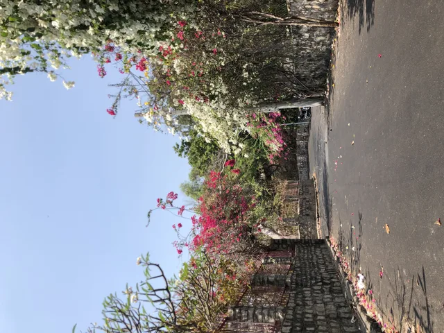 Bán đất Ngô thuỵ sỹ đà lạt