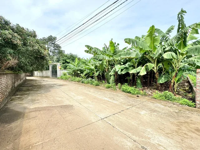 915m - mặt tiền 30m - gần KCN Nhuận Trạch - giá nhỉnh 6 tỷ