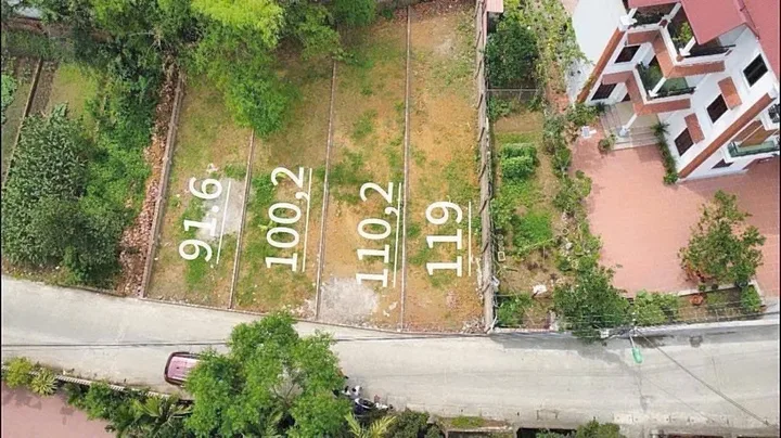 Bán 119 m Đường Trục chính Kinh Doanh  Đan Tảo - Sóc Sơn