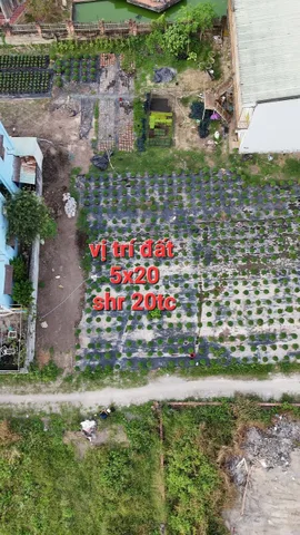 Bán Nhanh Đất 5x20 SHR – 20m² Thổ Cư – Gần Chợ, Trường, UBND – Hẻm Ô Tô Thông, Cách Phà Cát Lái 8km – Hướng Nam, Chính Chủ