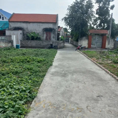 Bán đất 65m² ngang 5m giá 990 triệu Xã Kiến Thụy