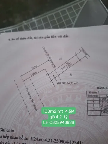 Rẻ Hàng Kín!! 4.2 tỷ mặt QL 391 Tứ Kỳ, dt 103m2