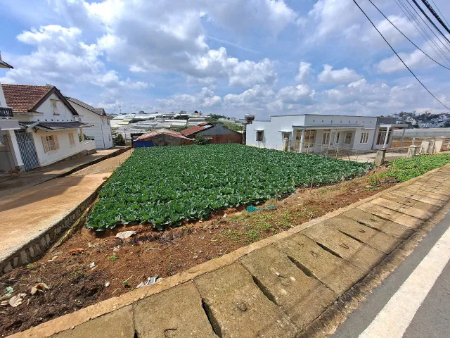 Đất Đẹp Phân Lô 7,128m2 Ngô Tất Tố Đà Lạt - đường 2 xe 45 tránh nhau Thích hợp phân lô