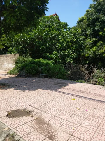 Chính chủ gửi bán 85m2 đất mặt phố Trung Sơn Trầm, phường Trung Sơn Trầm, thị xã Sơn Tây