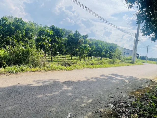 Bán đất 1067.4m² ngang 10m giá 790 triệu Xã Phước Thành