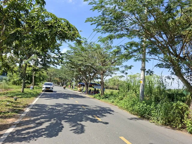 Cần bán đất trồng cây lâu năm mặt tiền Ngô Quang Thắm, Long Thới, Nhà Bè