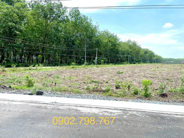 Bán đất 2300m² ngang 46m giá 4.6 tỷ Xã Phước Thành