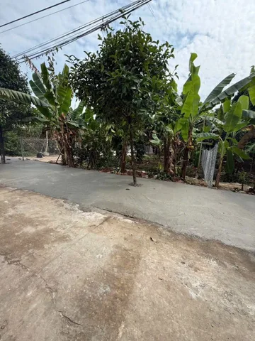 ĐẤT MẶT TIỀN BÌNH NHÂM 30- XÂY BIỆT THỰ NHÀ VƯỜN - DC: THUẬN AN BÌNH DƯƠNG