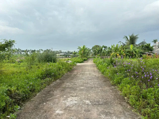 14/12/2025.Bán đất 65m² ngang 4,27m giá 1.02 tỷ . Đông Sơn. liên hệ 0362558882