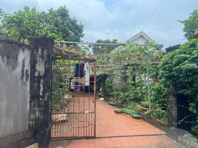 Bán đất 1000m² ngang 10m giá 5.5 tỷ Phường Tân Lập
