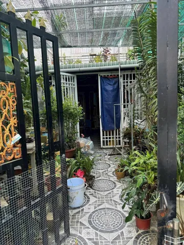 🏠 CƠ HỘI SỞ HỮU NHÀ MẶT TIỀN GIÁ RẺ TẠI TÂN TRỤ – CHỈ 650 TRIỆU